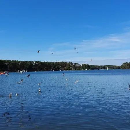 بيت للعطل Letniskowy U Marcina I Ani