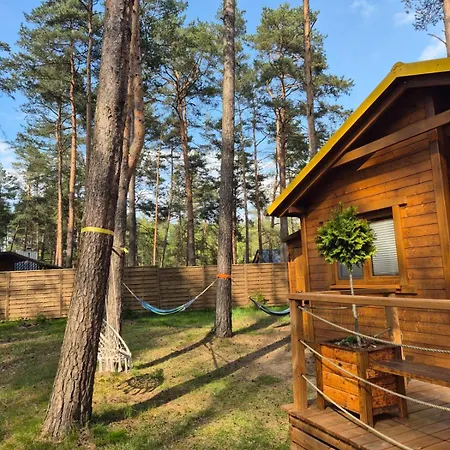 Letniskowy U Marcina I Ani * Borsk