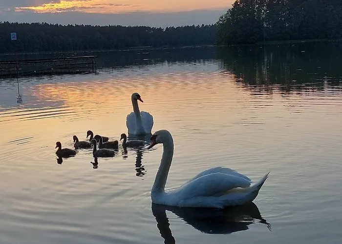 別荘 Letniskowy U Marcina I Ani