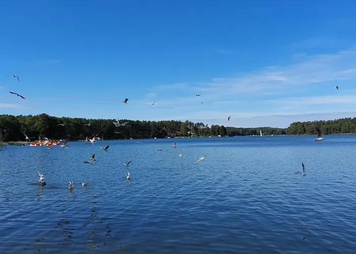 別荘 Letniskowy U Marcina I Ani