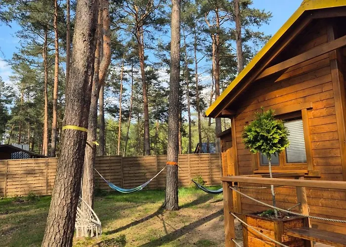 Letniskowy U Marcina I Ani * Borsk